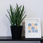 Appartement Pattern Boutique *