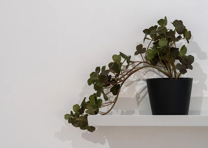 Apartament Pattern Boutique Brno